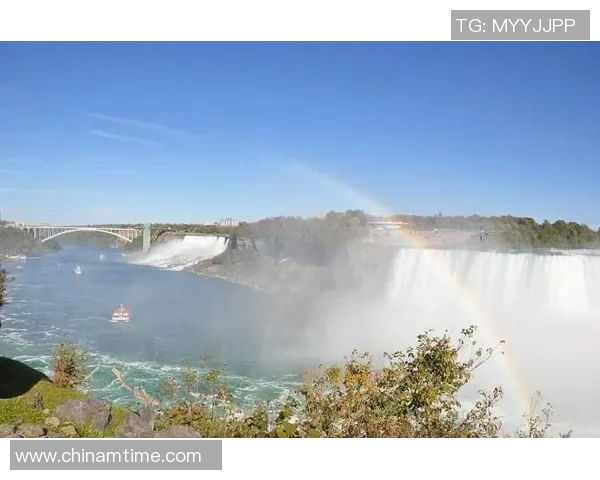 温哥华与蒙特利尔对决精彩回顾5月24日赛事亮点分析